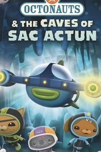    (2020)